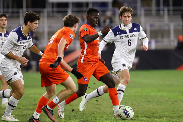 展示了他们 展示了他们